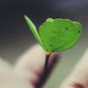 Meet your Posher, Kristy